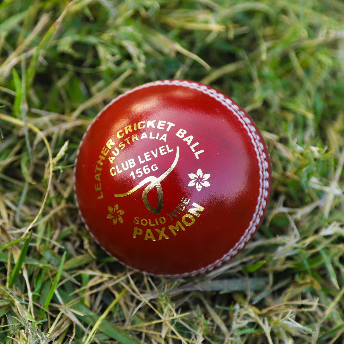 Grade A Leather Cricket Ball for Senior Men's and Women's Matches - 156 Grams