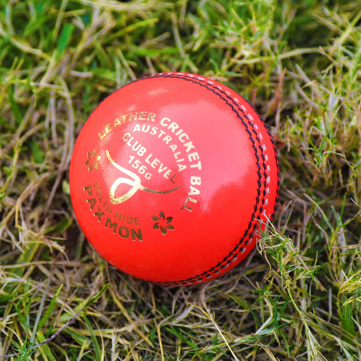 Official Grade A Leather Cricket Ball for Men's and Women's Matches - 156g