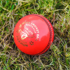 Official Grade A Leather Cricket Ball for Men's and Women's Matches - 156g